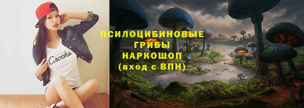 шишки Богородск
