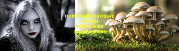 ECSTASY Богородицк
