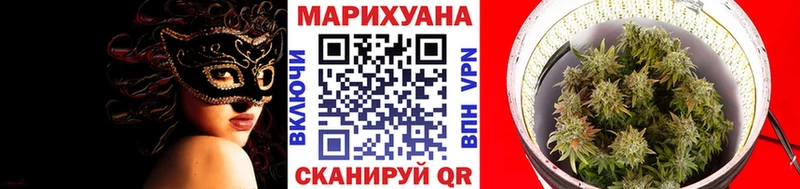 Купить  Кумертау  Бошки марихуана THC 21% 